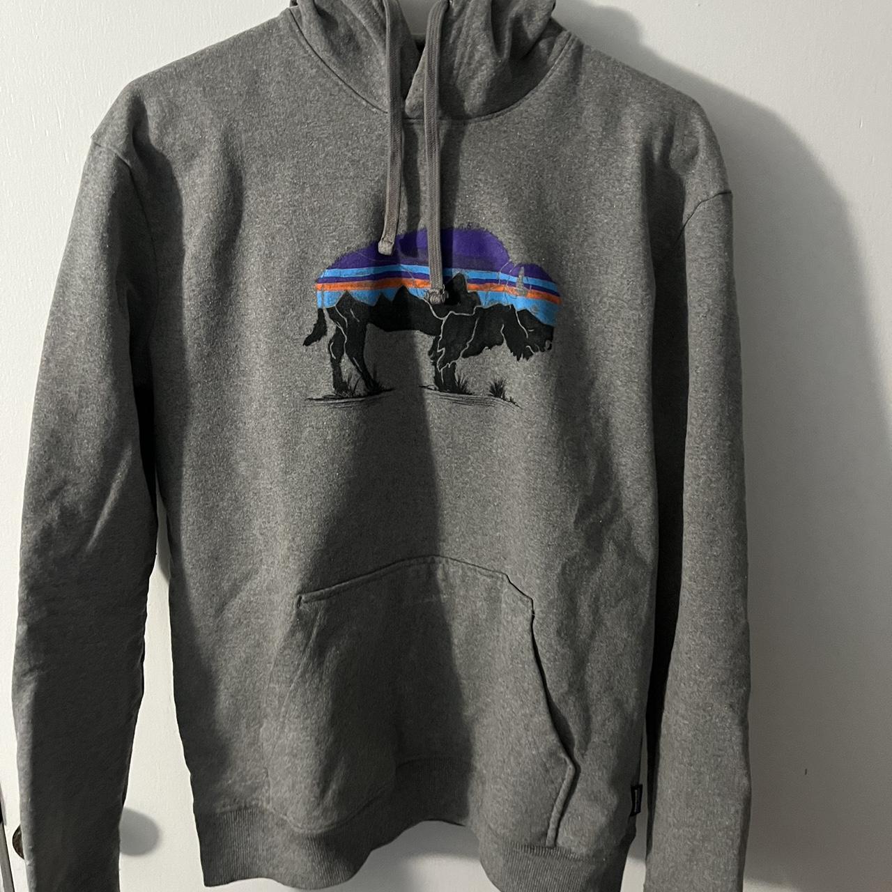 Patagonia buffalo hoodie Only worn once super