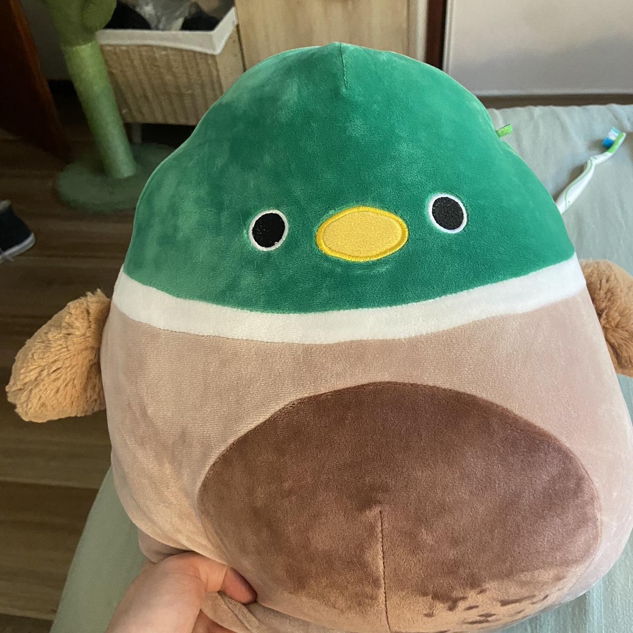 Avery 16” Squishmallow BN tags seperate but in tact - Depop