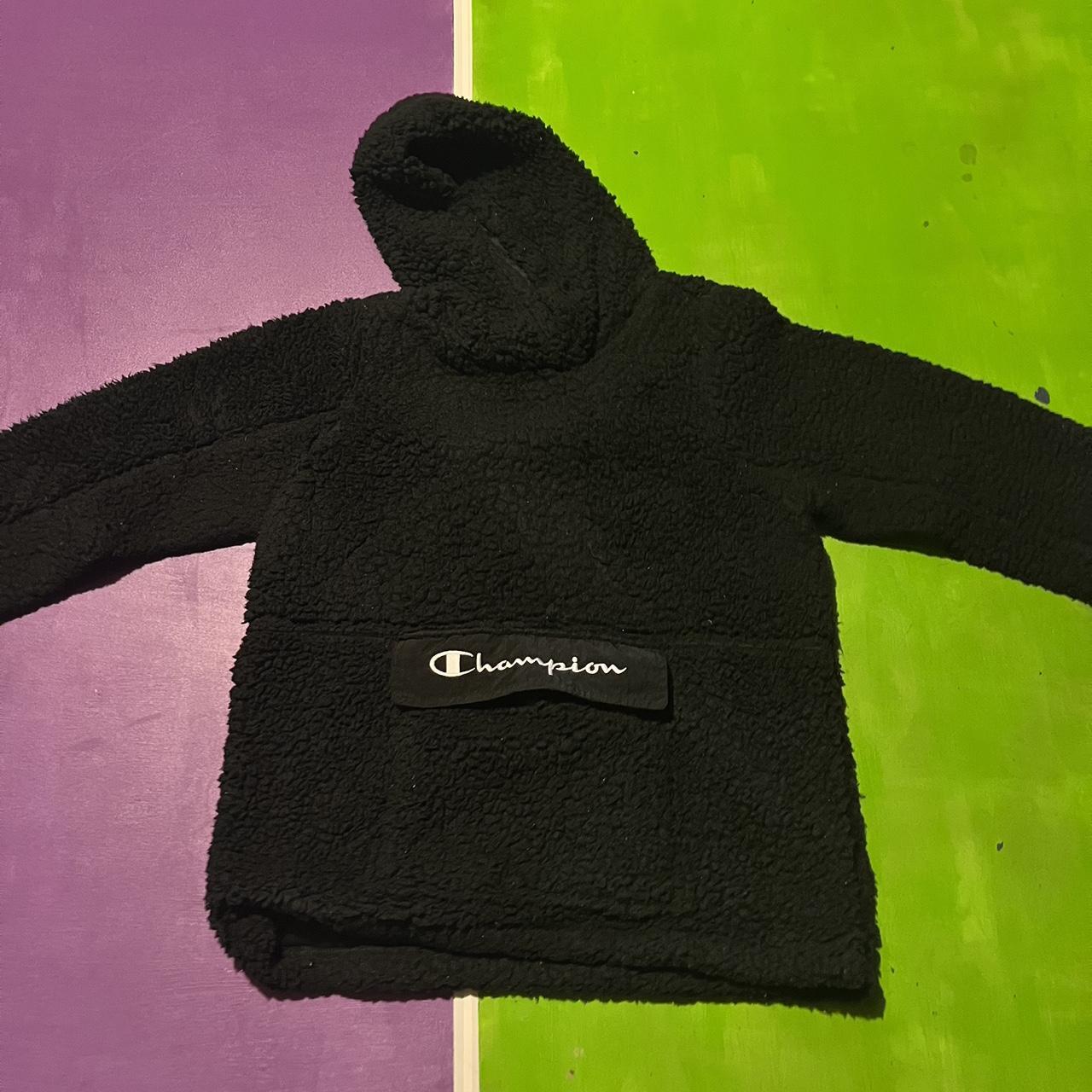 Champion 2024 fuzzy hoodie