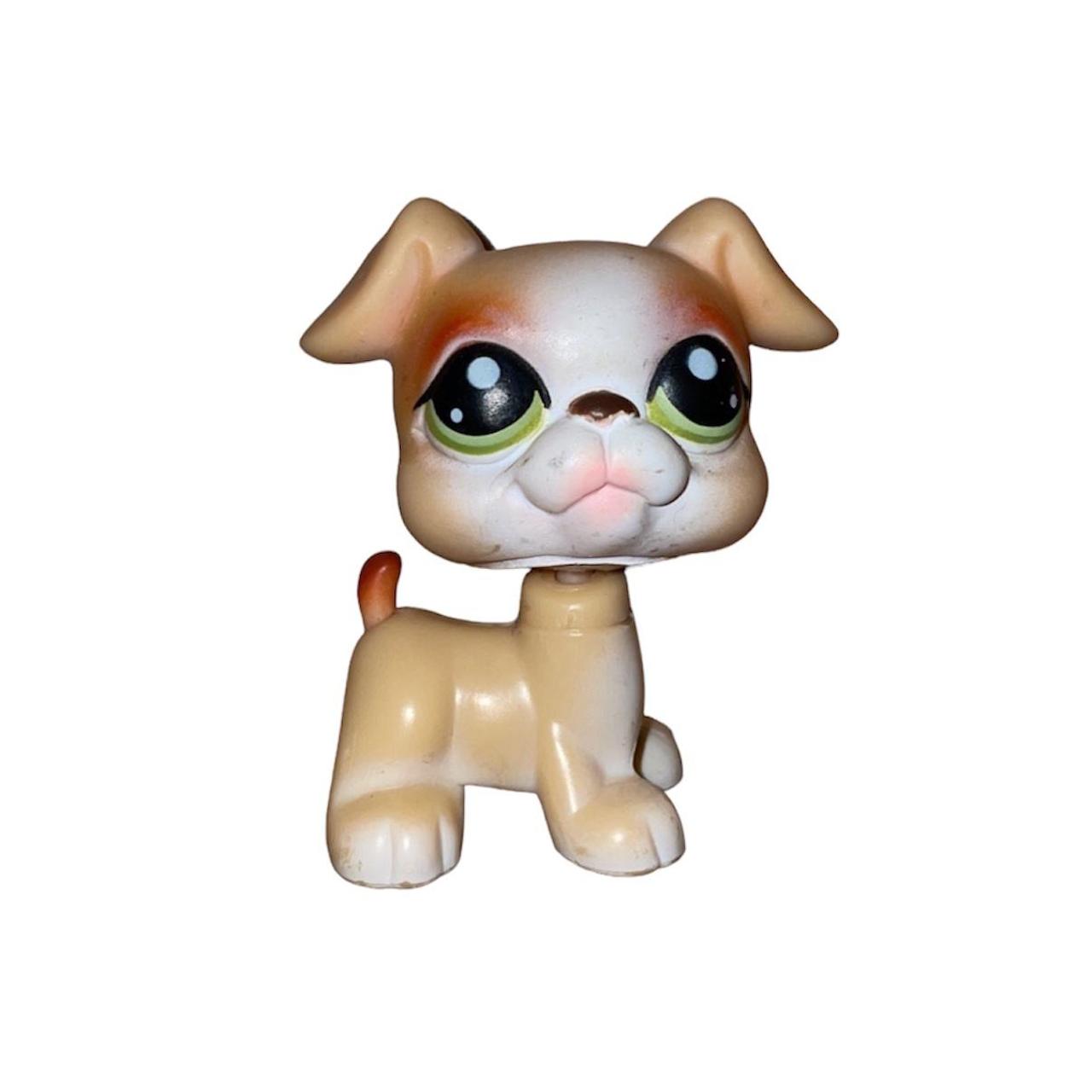 Lps 2024 boxer puppy