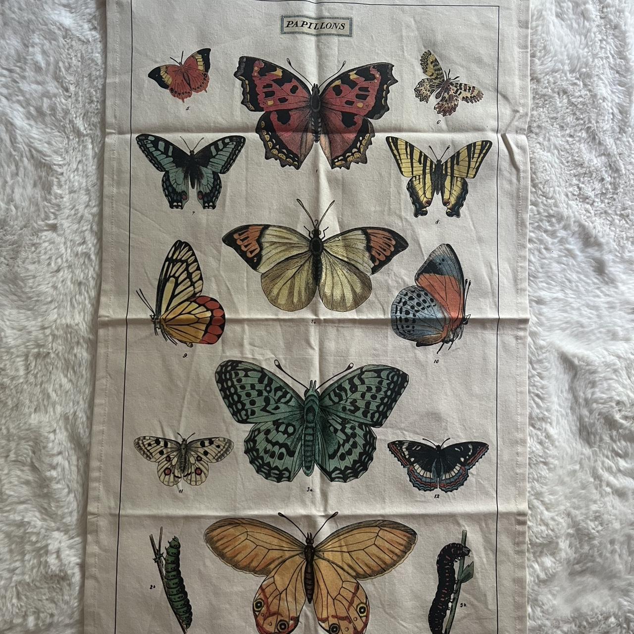 Urban Outfitters multi Drawingandillustrations Depop