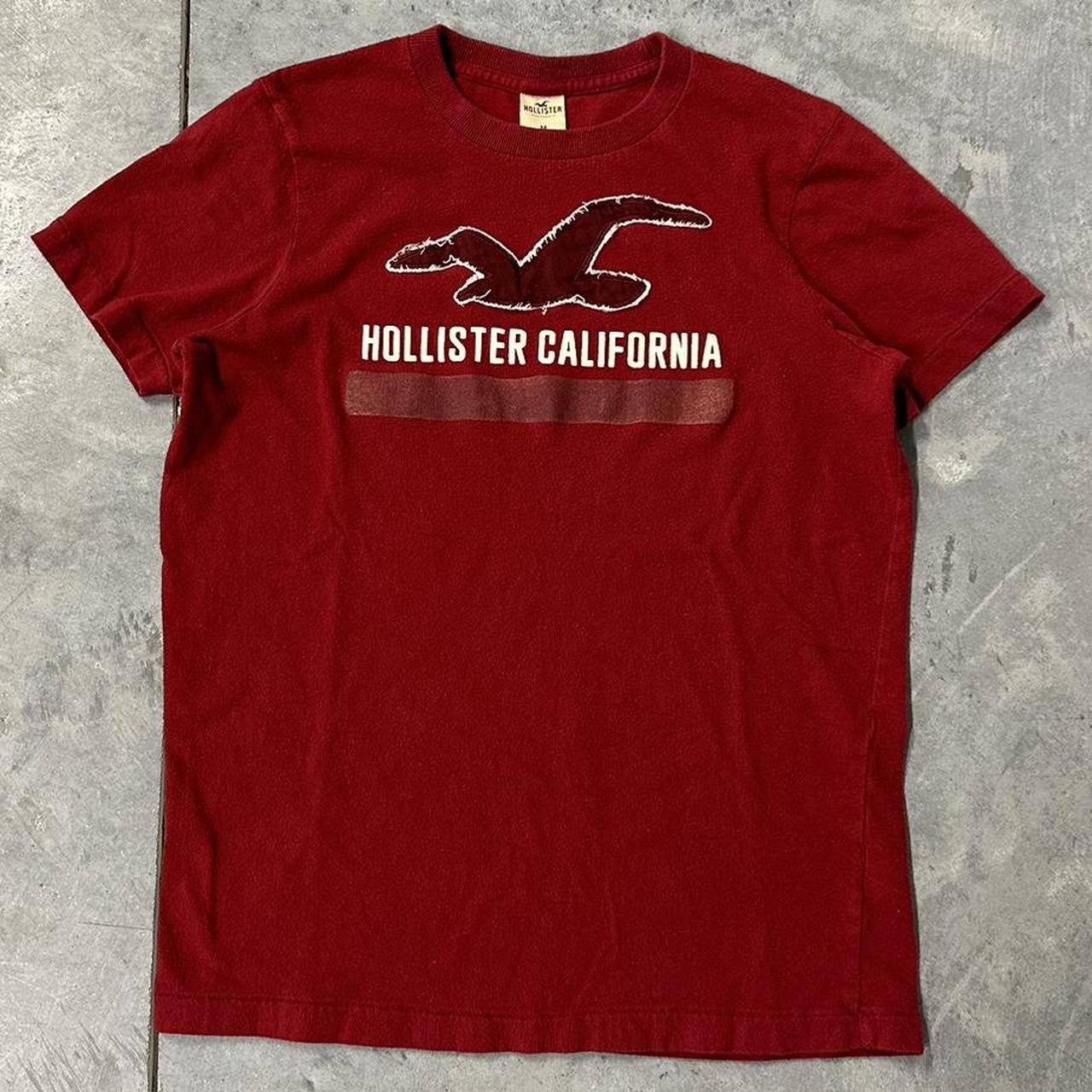 Hot hollister basic t shirt Outlet