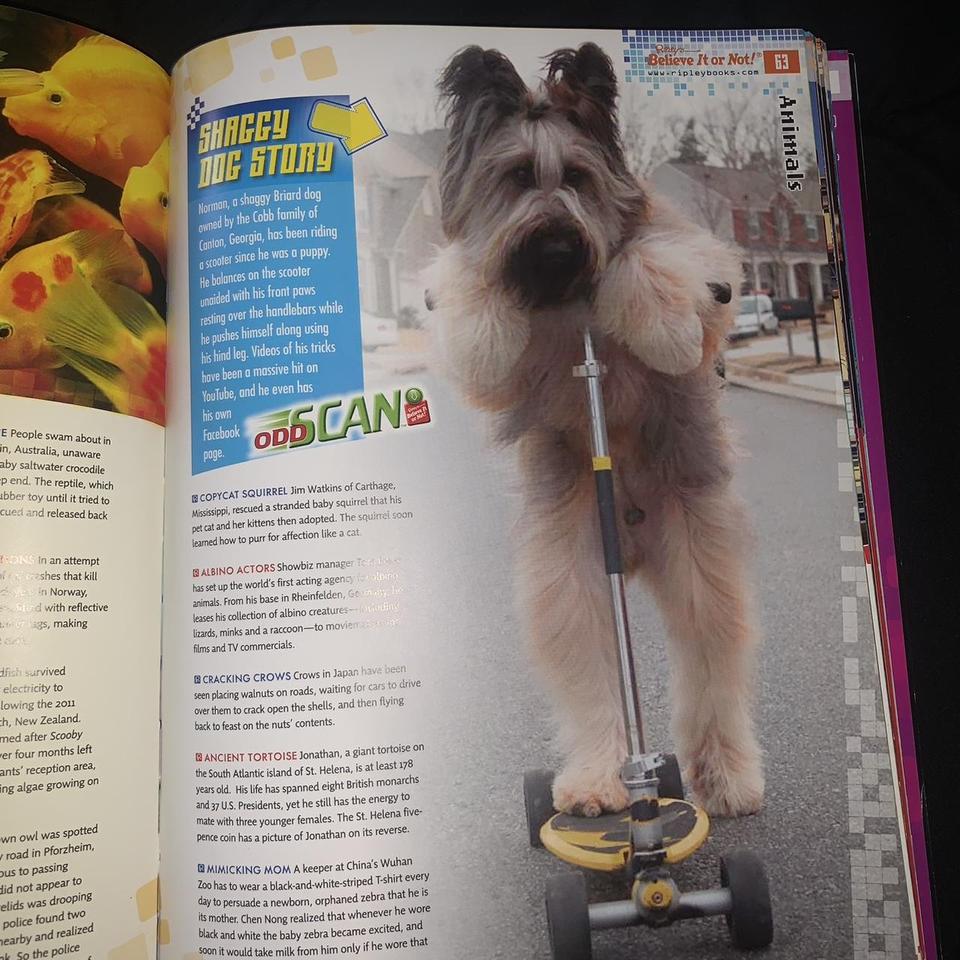 Mini Black White w/ Brown Aztec Depop