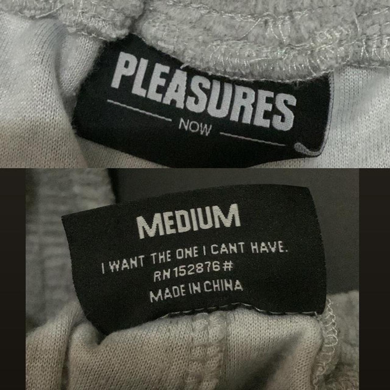 Pleasures Men's Grey Shorts (3)