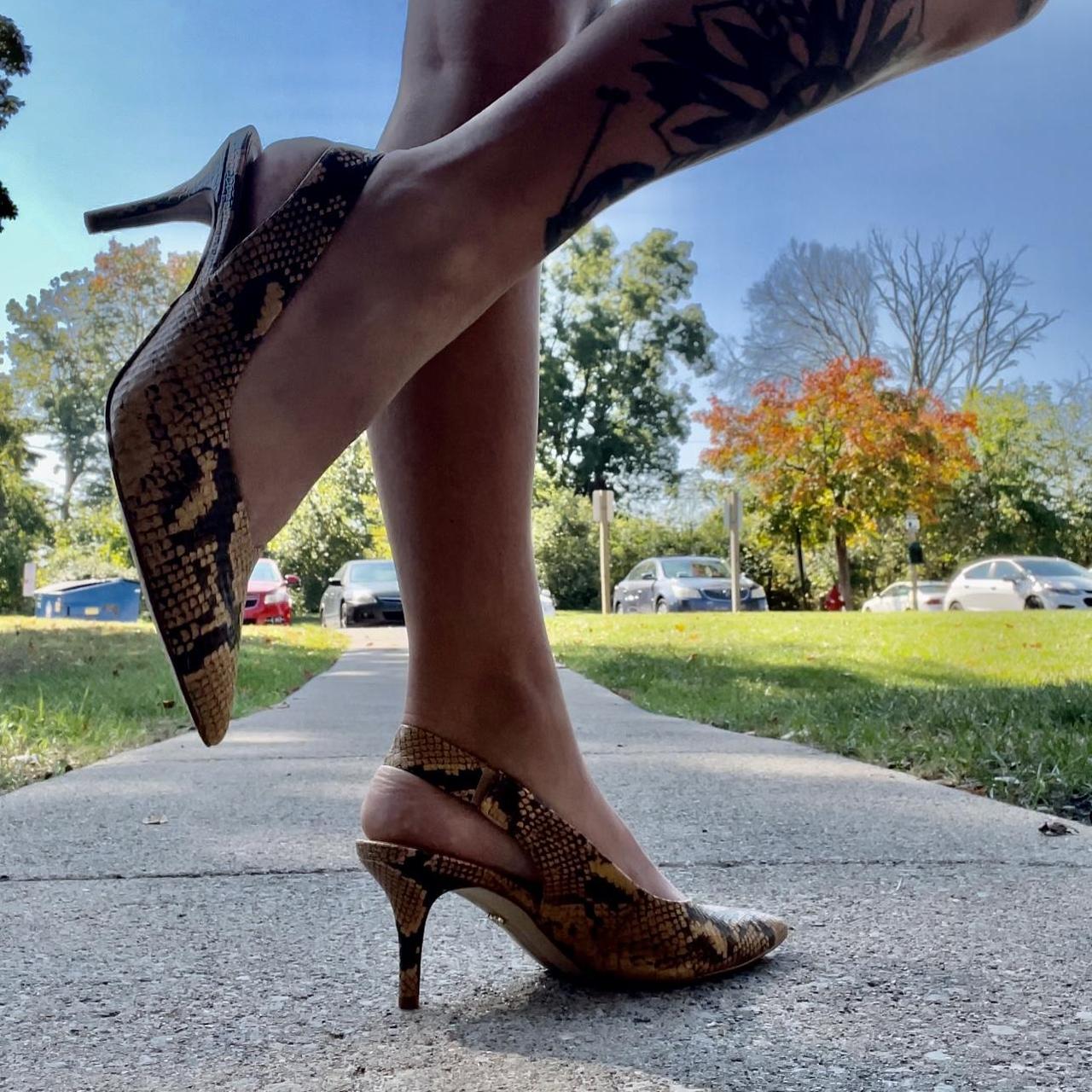 Sam edelman sale snake pumps