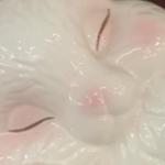 earthangel420princess's profile picture