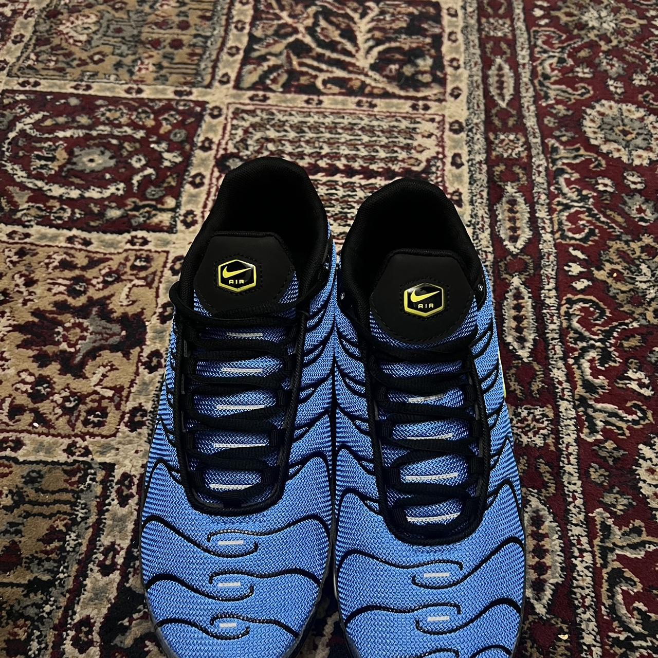 tn blue black