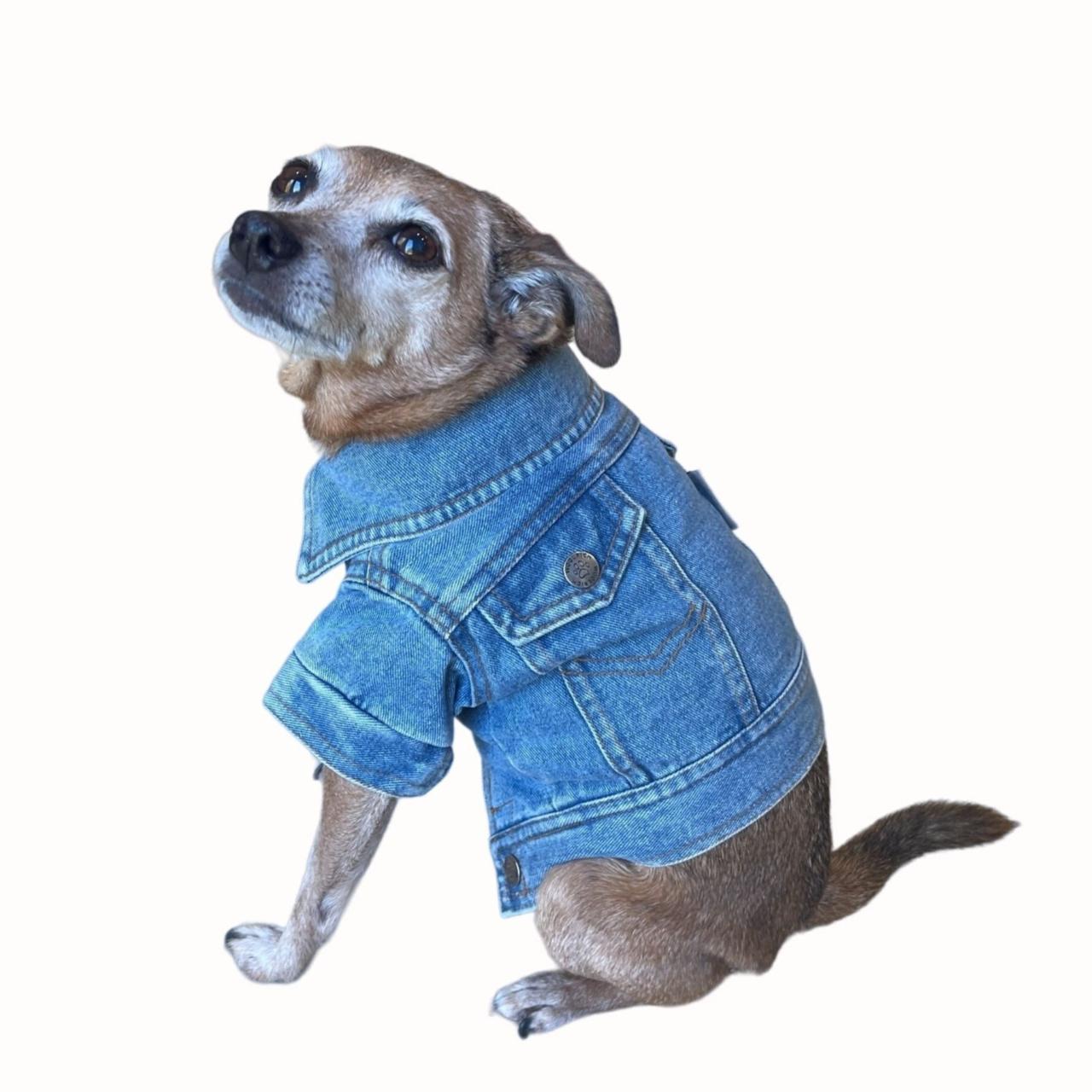 woolrich dog clothes