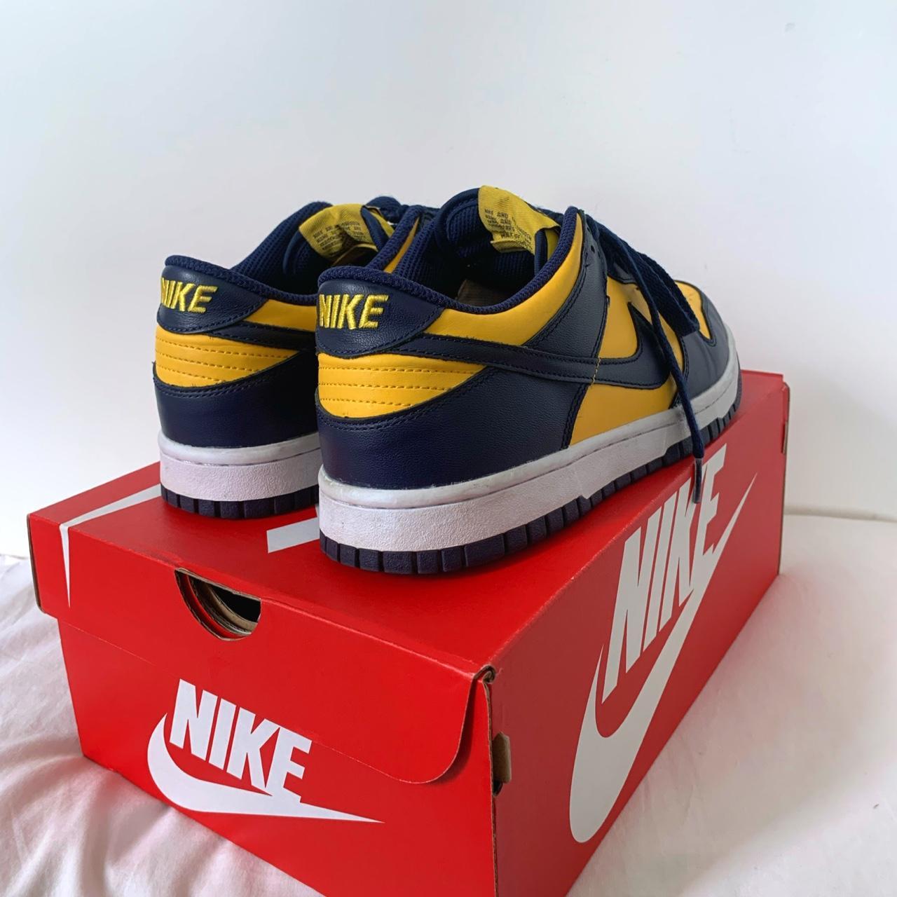 michigan dunks womens