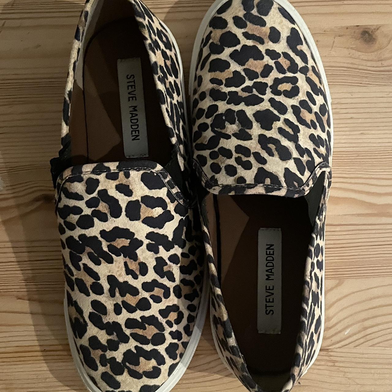 Steve madden animal print on sale trainers