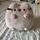 item listed by isabella3348