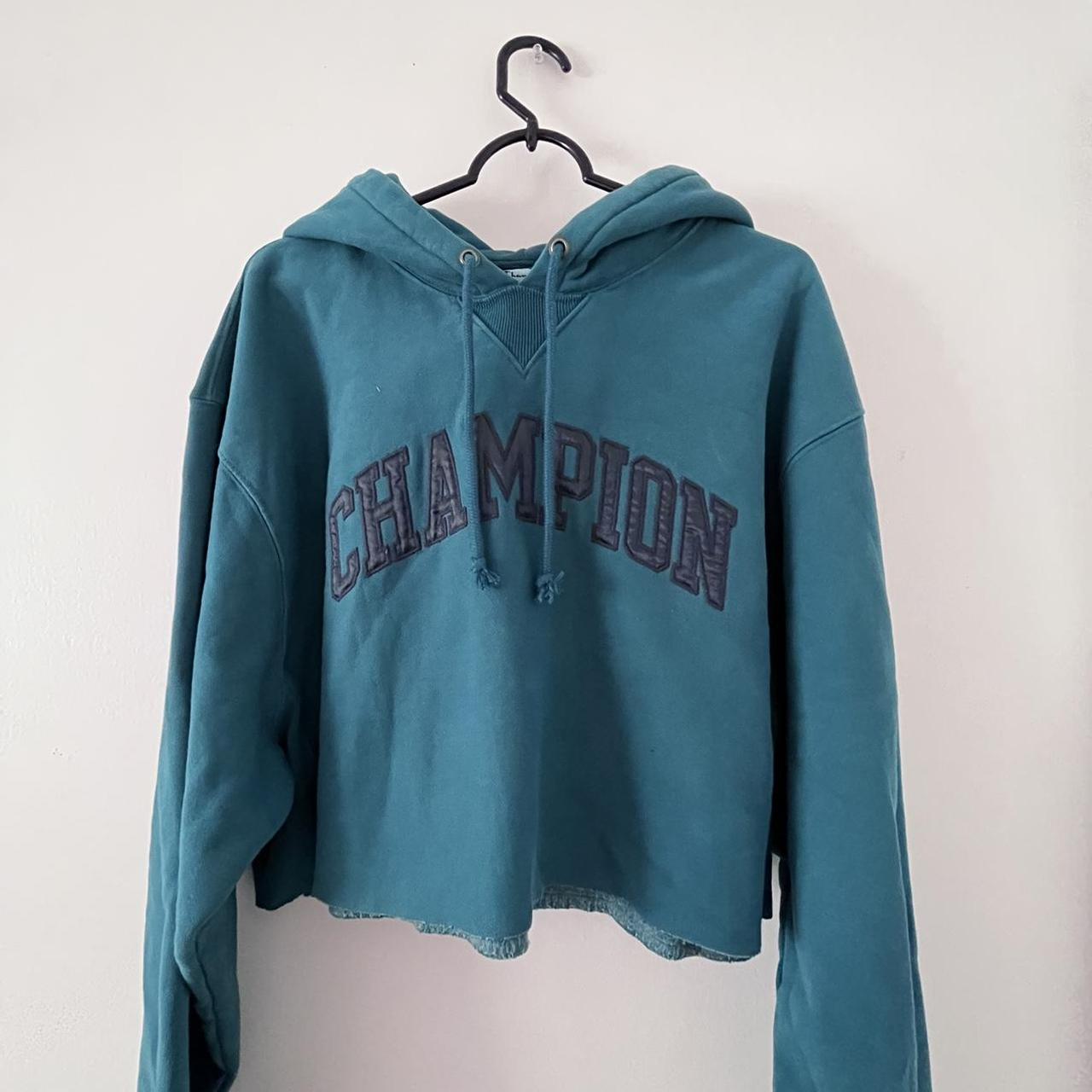 Champion sweater 2024 tillys gratis