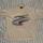 item listed by alexdouglasss