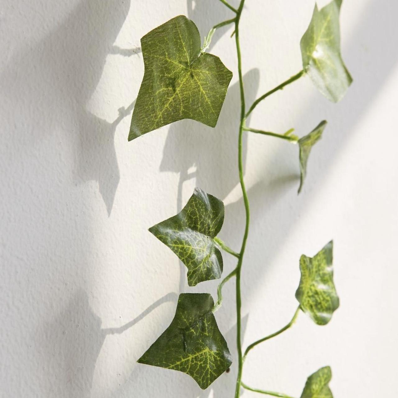 Urban Outfitters decorative vines set. Purchased... Depop