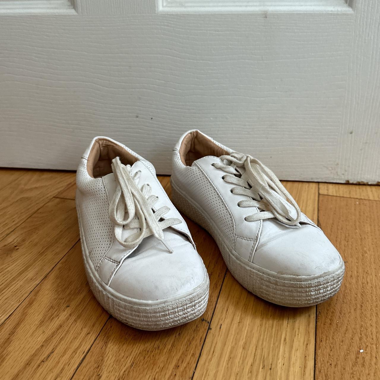 Steve madden sale canvas sneakers