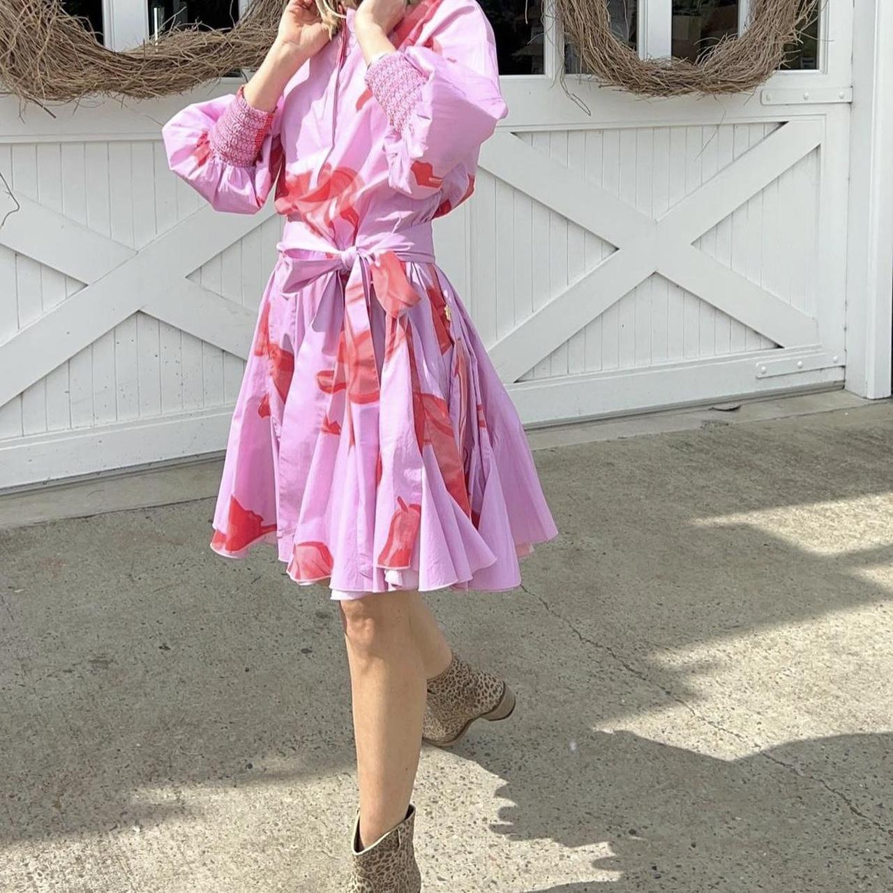 Binny ‘carousel’ dress. Pink with red horse print.... - Depop