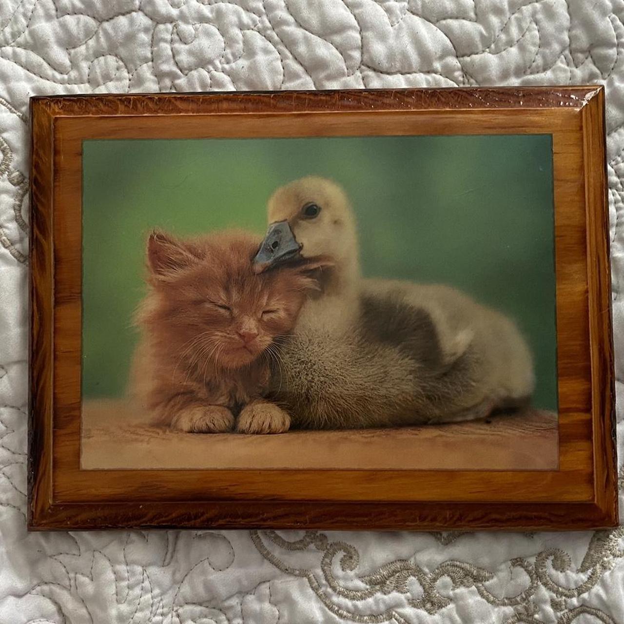 Kawaii wall decor. 8.5x6.5 in frame of kitten and... Depop