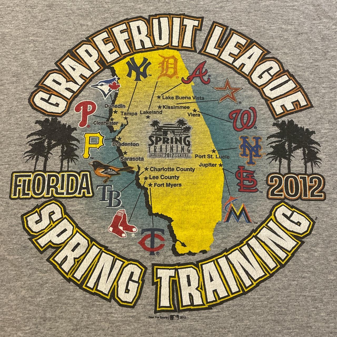Nike Men's Grapefruit League Black Spring Training T-Shirt