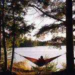 brigid_clive's profile picture