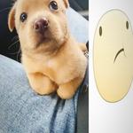 jahamex's profile picture