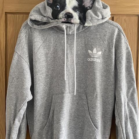 Dog sale adidas hoodie