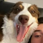 cjgatorfan's profile picture