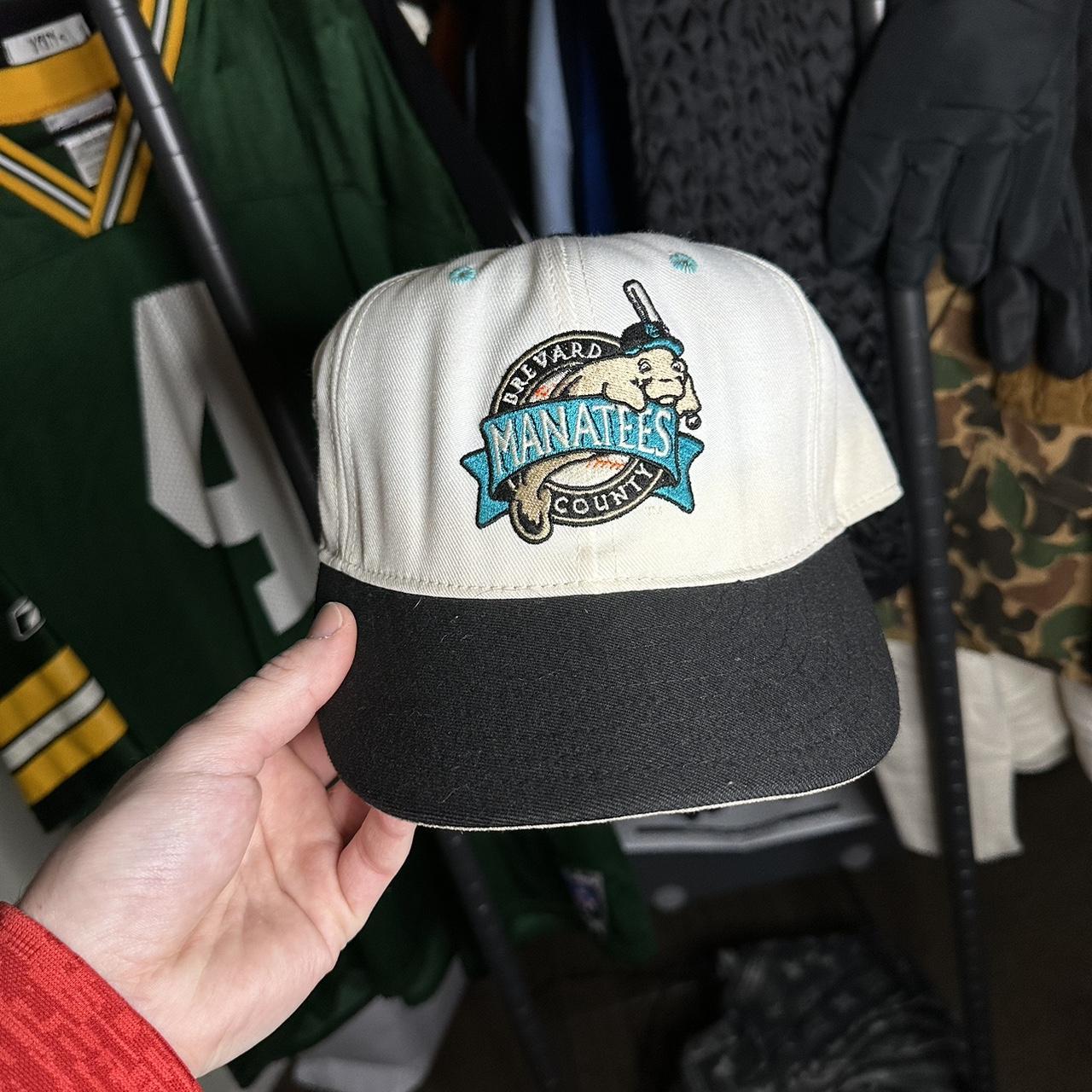 Vintage minor shop league baseball hats