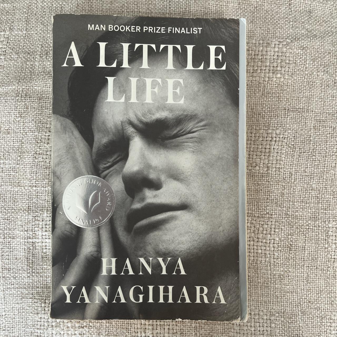 A little life book Second hand copy— very small wear... - Depop