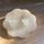 item listed by puripuripuri