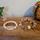 item listed by thrifty_gem