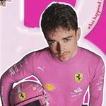 shadowpuppetval's profile picture