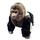 item listed by jennioi