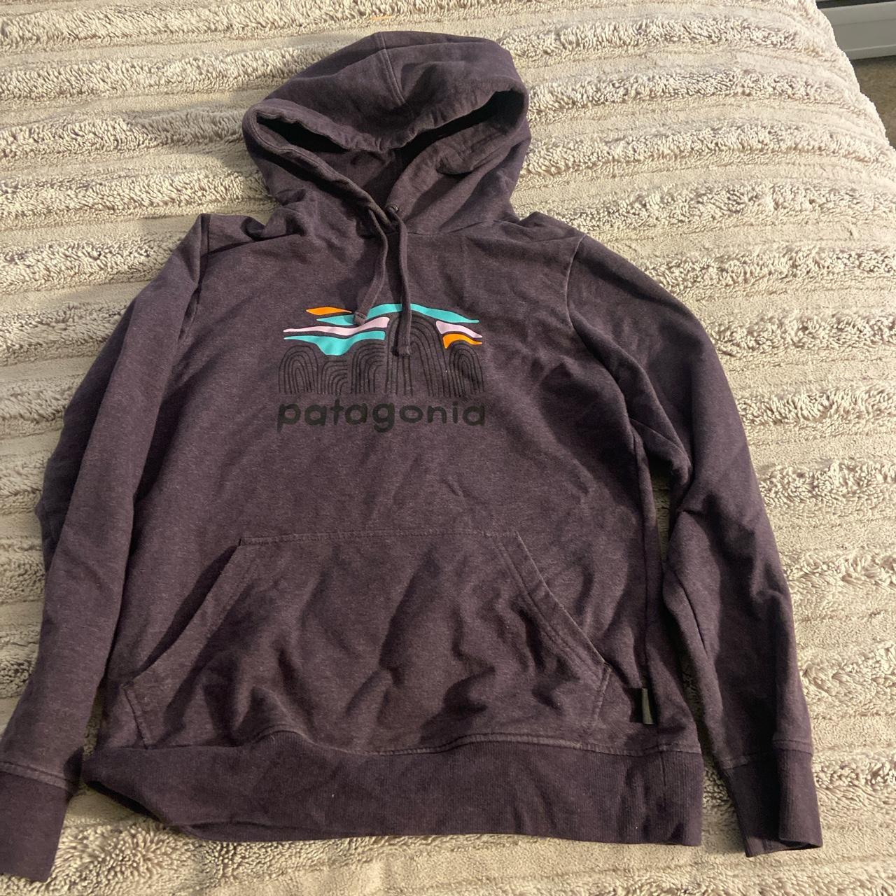 Patagonia women's fitz clearance roy bear midweight hoody