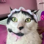 jinglethrifts's profile picture