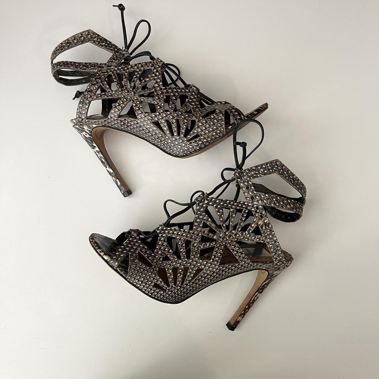 dolce vita snakeskin boots