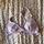 item listed by maddie_arsenault