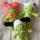 item listed by stellarrthreads