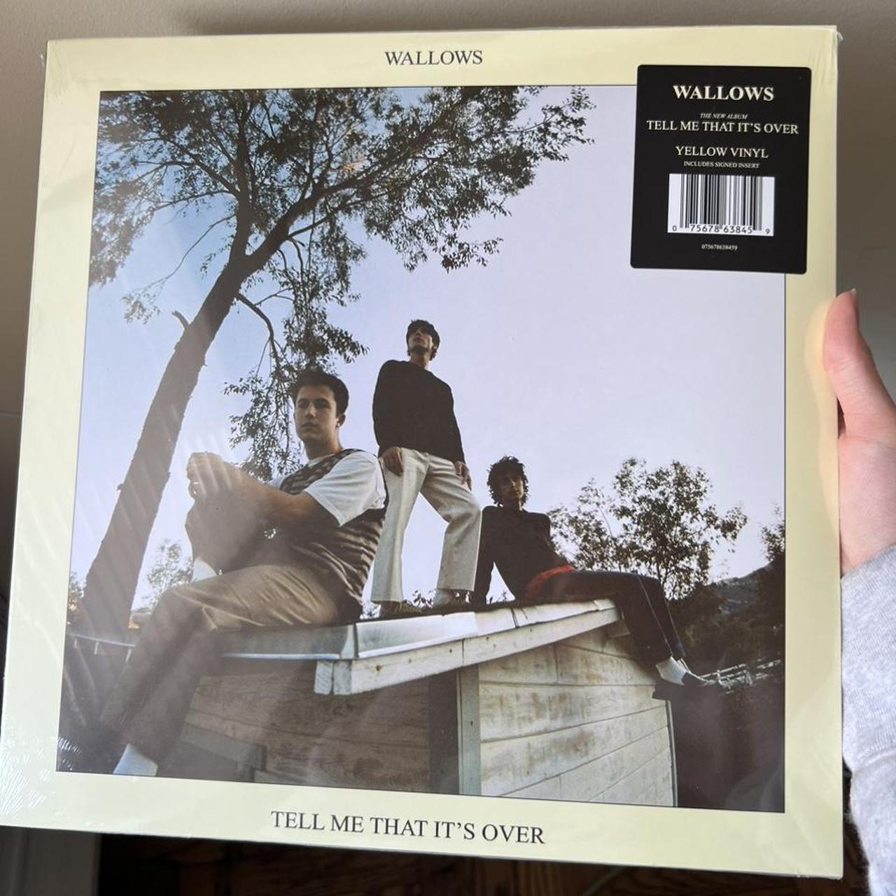 signed wallows tell me that it’s over vinyl -… - Depop