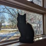 tearosevintage's profile picture