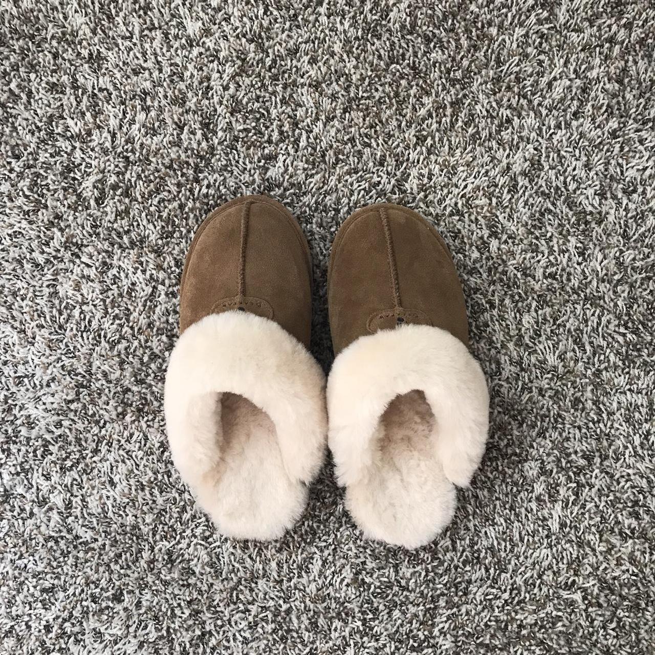 bearpaw slippers