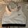 item listed by amanee_faddoul