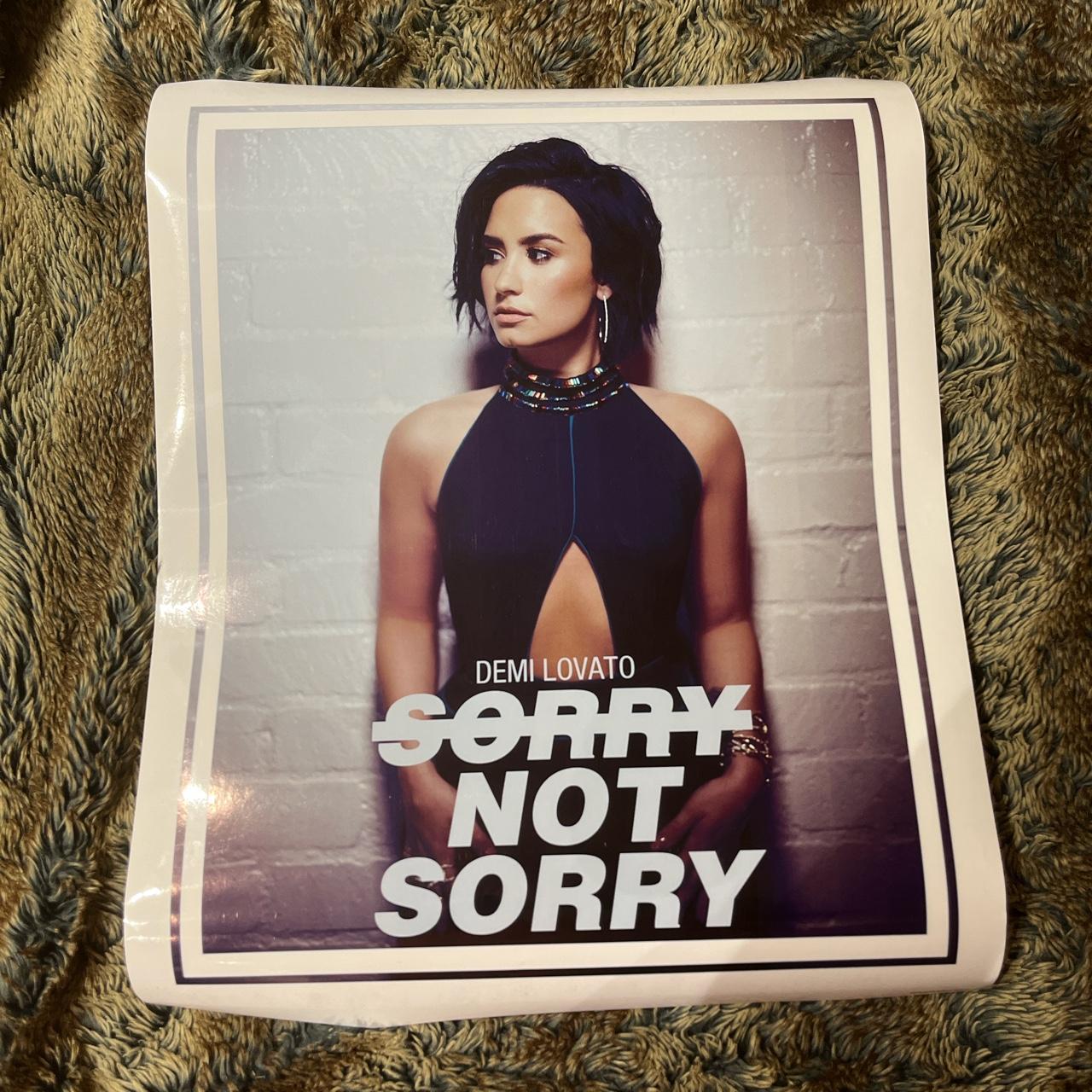 Sorry Not Sorry Poster