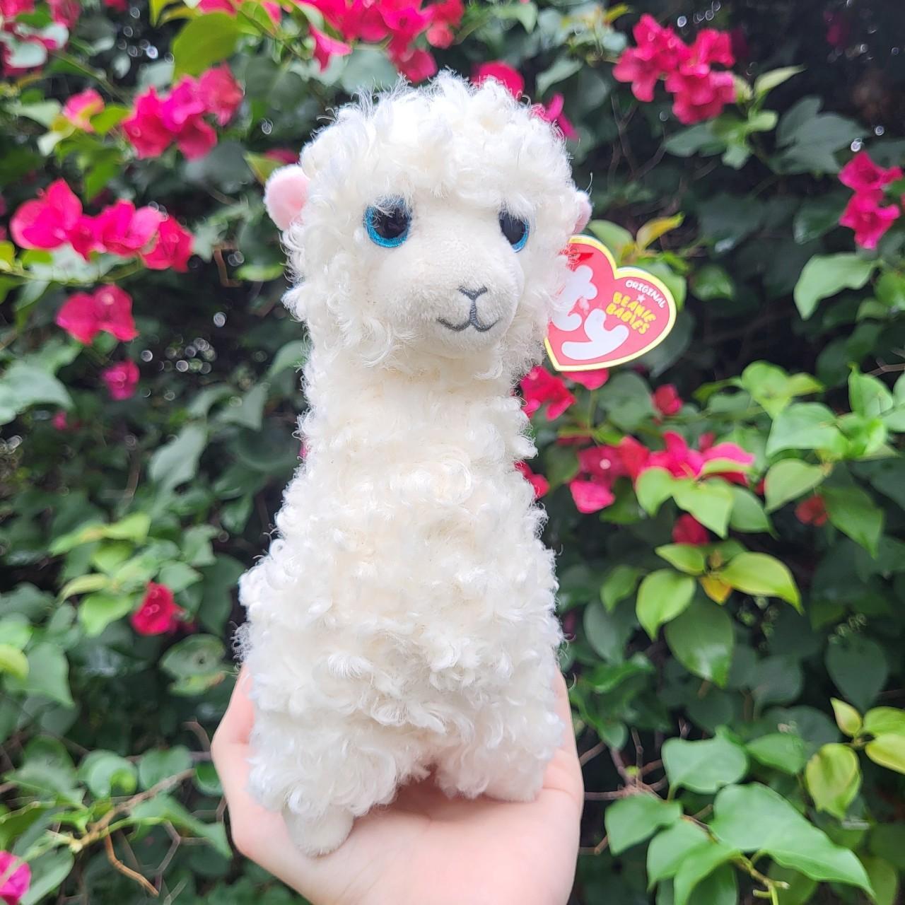 Lily llama deals beanie baby