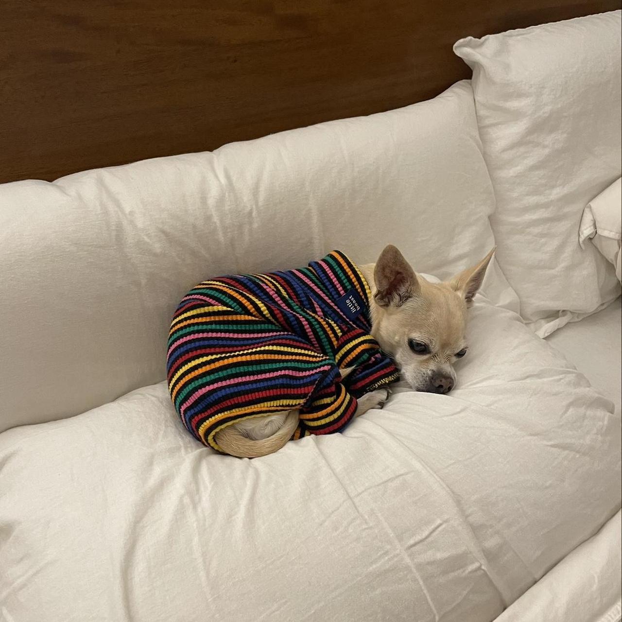 Little Beast Dog Sweater XXS Depop