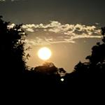 sonity's profile picture