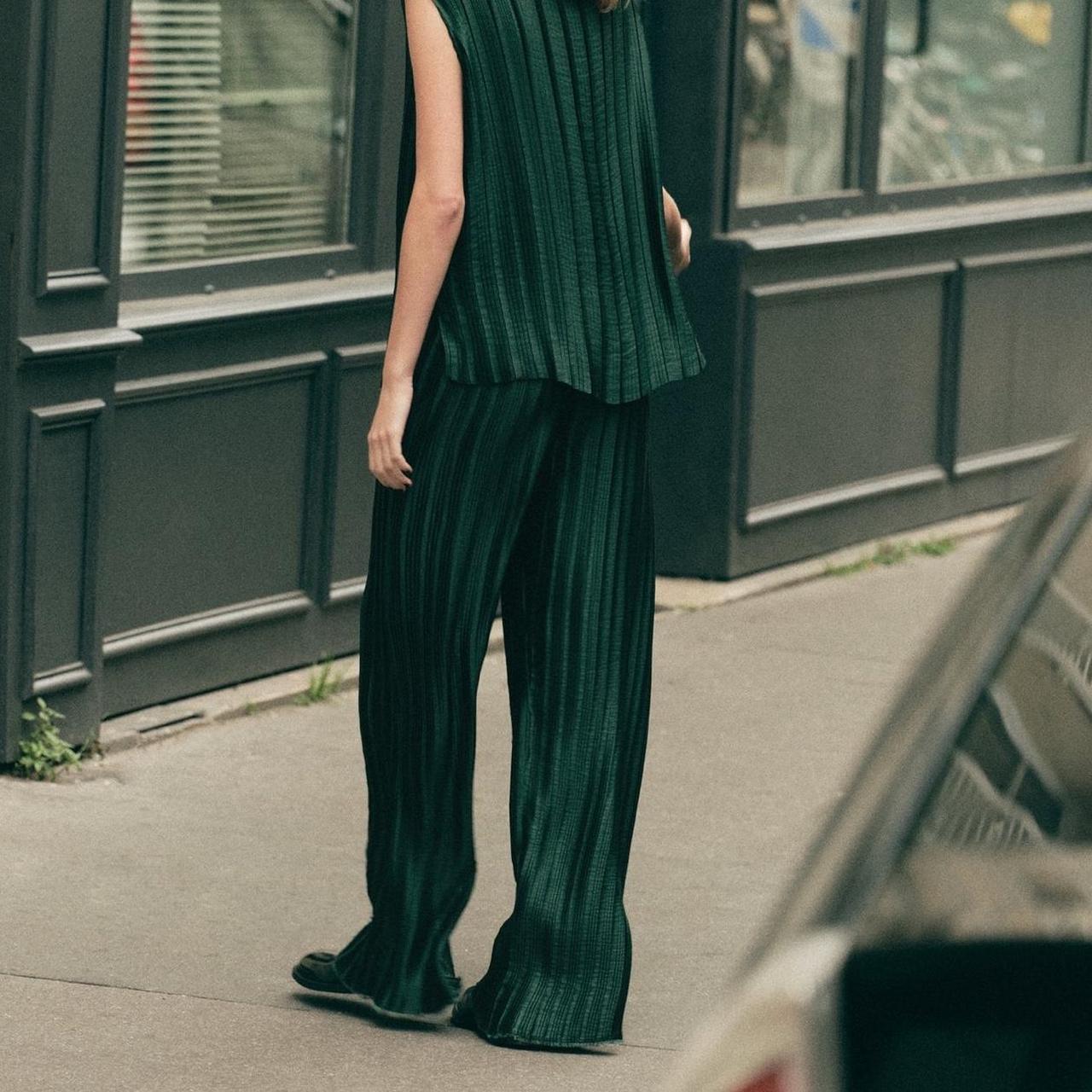 Pleated Zara Pants