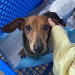 valsthrifts's profile picture