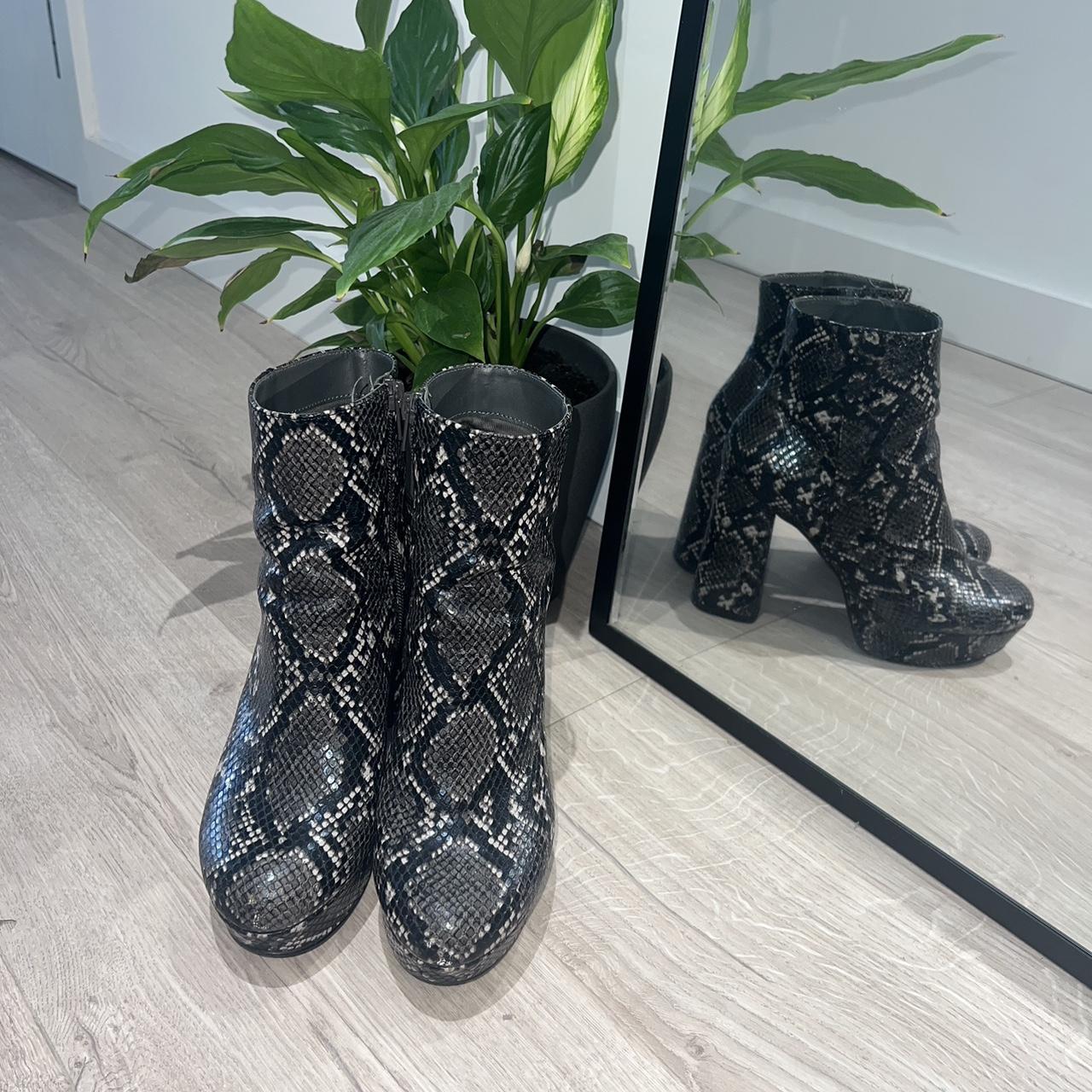 snakeskin boots steve madden