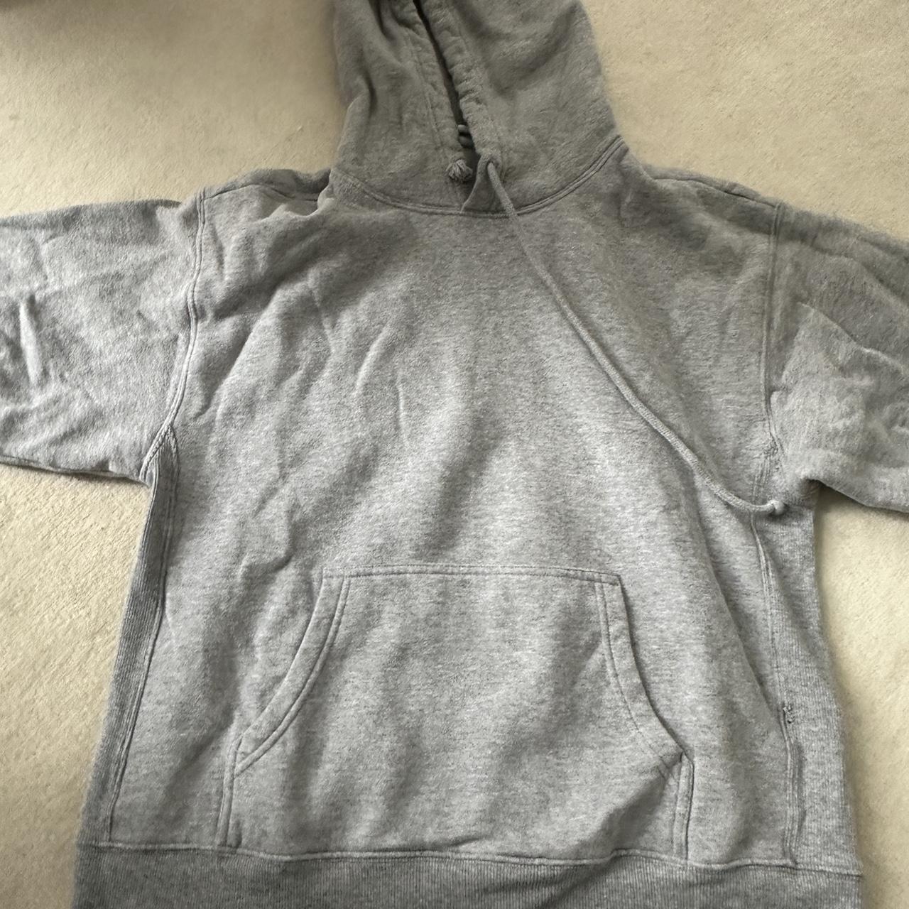 Aritzia discount grey hoodie