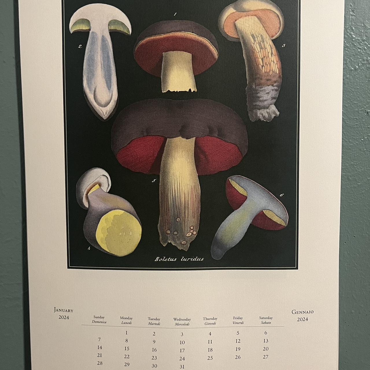 Large Mushroom Calendar 2024 Depop   P0 